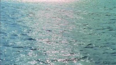 No! Oh, God no! - CSI: Miami