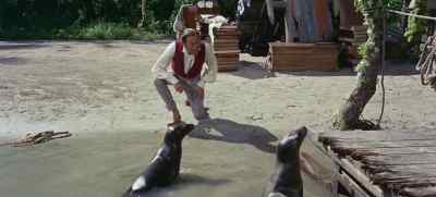 No. Oh, how do you do, sir? - Doctor Dolittle