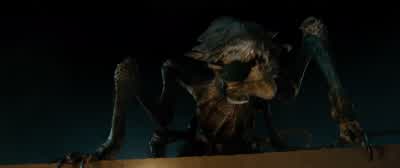 No. Okay. Okay. - Venom: The Last Dance