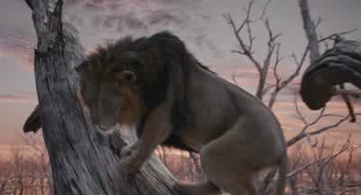 No one can ever know you ranThat you ran from your motherIt never happened Taka Do you understandBut I didn't know I was just I was just scaredIt doesn't matter We must protect the bloodlineProtect it with a lie Father that's deceitfulDeceit is a tool of - Mufasa: The Lion King