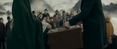 No one can know everything, Newt. - Fantastic Beasts: The Secrets of Dumbledore