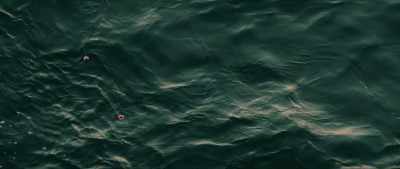 No one had ever told me
anything about their having - The Disappearance of Shere Hite