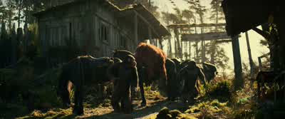 No one here... - War for the Planet of the Apes