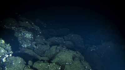 No one, it is true, - Blue Planet II