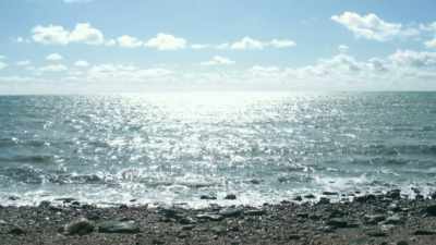 No one knows why,
but standing here, - Attenborough and the Sea Dragon