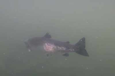 No one, but these things are
happening under the surface, you
know? - Artifishal