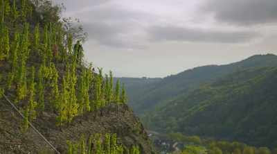 No other noise but just your paddle. - World's Most Scenic River Journeys