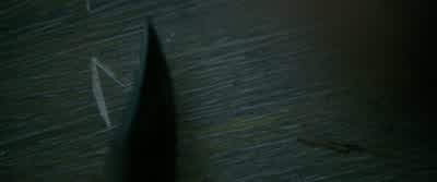 No phone, no pool, no pets, no cigarettes. - Into the Wild