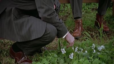 No, please.
Please, don't touch them. - Midsomer Murders