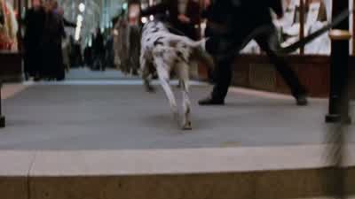 No! Pongo! MAN: Watch it! Stop! Stop! Oh! - 101 Dalmatians
