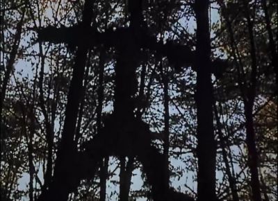 No redneck is this creative - The Blair Witch Project