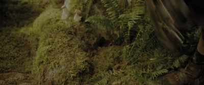 No resources, no supplies,
no apparent way home. - Sonic the Hedgehog