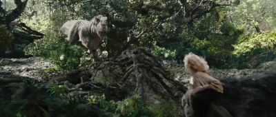 No! - King Kong