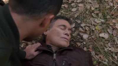No. - NCIS
