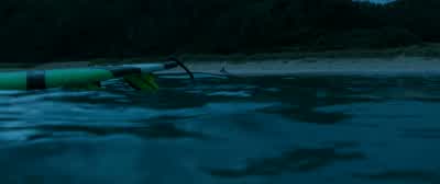 No, there's a shark! - The Shallows