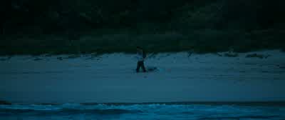 Stop, come back! - The Shallows