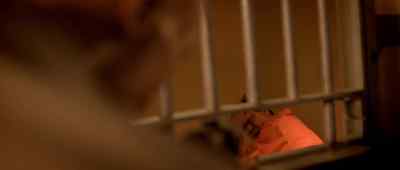 No! - The Human Centipede 3 (Final Sequence)