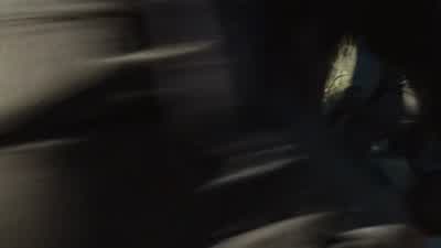 No. Aah! Honey, God damn it! - The Walking Dead