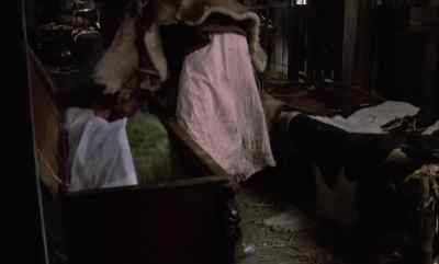 No! - Countess Dracula