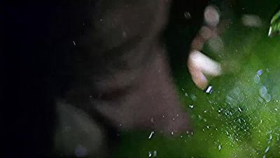 No. - CSI: Miami