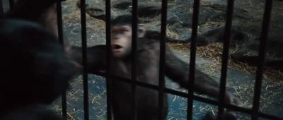 No! - Rise of the Planet of the Apes