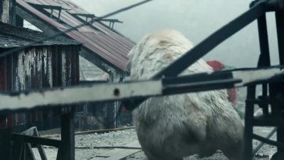 No! - His Dark Materials