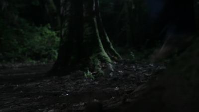 No! - Supernatural
