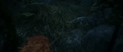 No! She was here. No, really. She was just here. Oh, wait. - Brave