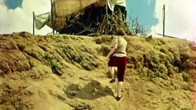      No ship would sail by
     without my knowledge. - Robinson Crusoe