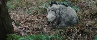 No sign of Owl though,
either. - Christopher Robin