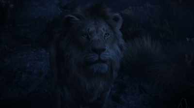 No, Simba. That is forever.  - The Lion King