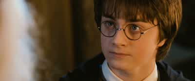 No, sir. - Harry Potter and the Chamber of Secrets