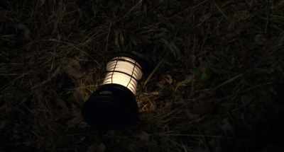 No, stop it!
(lamp thuds) - Dark Night of the Scarecrow 2