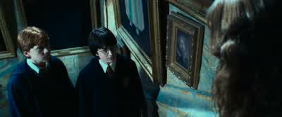 No such chamber has been found. - Harry Potter and the Chamber of Secrets
