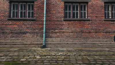No tenemos documentación
sobre tu madre. - The Tattooist’s Son: Journey to Auschwitz