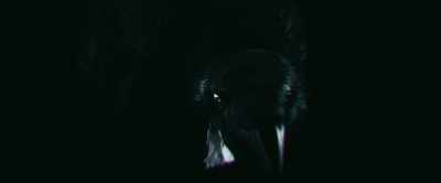 No. This is where you belong. - Hellboy: The Crooked Man