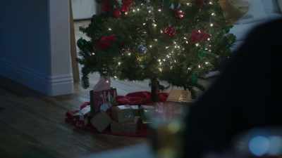 No, those are for my parents,
I thought it'd be kinda cool - The Holiday Exchange