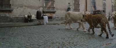 No trains today!
Leave the station immediately. - The Zookeeper's Wife