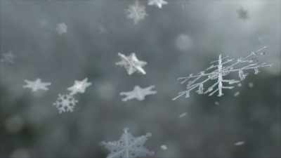 No two snow crystals are
exactly the same. - Frozen Planet II