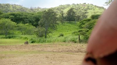 No visual.
What's their position? - Hawaii Five-0