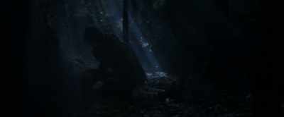 - No, wait, there's
this door in the forest. - Wonderwell