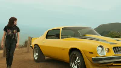 No way. - Bumblebee