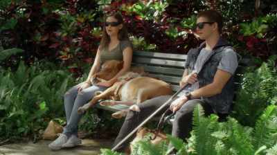 No. We rented one of the stables. - Apple of My Eye