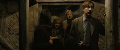 No, we should go. - Harry Potter and the Half Blood Prince