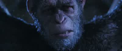 No! Yes. Join me. - War for the Planet of the Apes