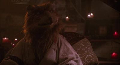 No You have youth - Teenage Mutant Ninja Turtles II: The Secret of the Ooze
