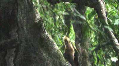 No, you're not! - When Nature Calls with Helen Mirren