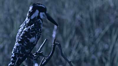 No, you're not! - When Nature Calls with Helen Mirren
