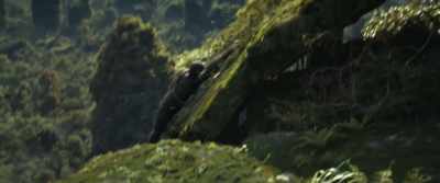 [Noa screams] - Kingdom of the Planet of the Apes