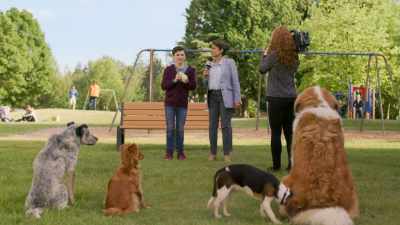 Noah, do you think you're just not cut out
for presentations and you never will be? - The Healing Powers of Dude